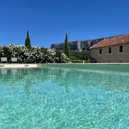 Le Mas Aux Cedres - Teritoria Hotel Lioux Kültér fotó